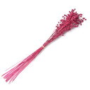 【ドライ】フロールエバー/リンフラワー 約30g ダークピンク/FLDR0023-930【01】 ドライフラワー ドライフラワー花材 その他ドライフラワー