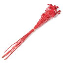 【ドライ】フロールエバー/アキレア 約30g レッド/FLDR0024-830【01】 ドライフラワー ドライフラワー花材 その他ドライフラワー