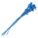 【ドライ】フロールエバー/アキレア 約30g ブルー/FLDR0024-870【01】 ドライフラワー ドライフラワー花材 その他ドライフラワー