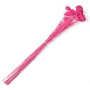 【ドライ】フロールエバー/アキレア 約30g ダークピンク/FLDR0024-930【01】 ドライフラワー ドライフラワー花材 その他ドライフラワー