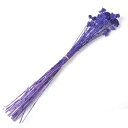 【ドライ】フロールエバー/アキレア 約30g パープル/FLDR0024-960【01】 ドライフラワー ドライフラワー花材 その他ドライフラワー
