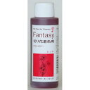 パレス化学/ファンタジー 100ml レッド/1520201【01】 花資材・フローリスト道具 生け花・生花 道具 切花着色剤