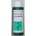 パレス化学/ファンタジー 100ml グリーン/1520204【01】【取寄】 花資材・フローリスト道具 生け花・生花 道具 切花着色剤