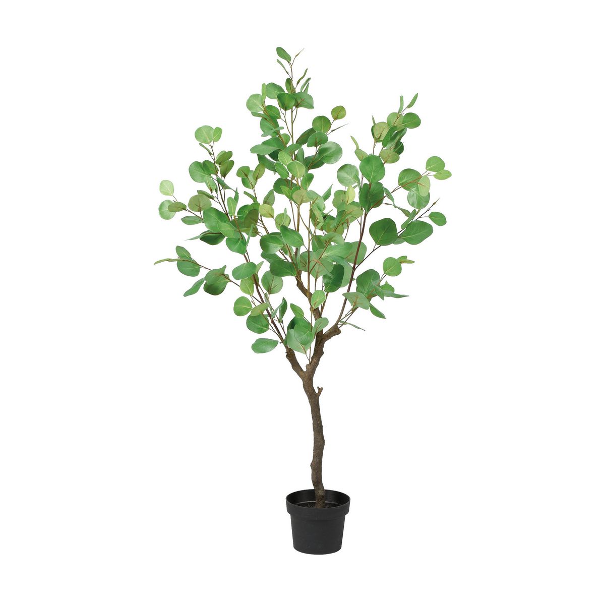 【直送】【人工観葉植物】アスカ/ユーカリ(ポット付) #051A グリーン/A-50966-51A ※代引返品キャンセル..