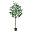 【直送】【人工観葉植物】アスカ/ユーカリ(ポット付)/A-50992-63G ※返品・キャンセル不可【01】 造花(アーティフィシャルフラワー) 造花葉物 造花...