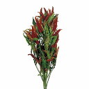 【ドライ】トウガラシ 枝付き 約50g /DN100000【01】 ドライフラワー ドライ実物&フルーツ その他