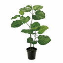 【人工観葉植物】ウンベラータ S/ZV015100【01】 造花(アーティフィシャルフラワー) 造花葉物 造花・人工観葉植物 高さ〜100cm