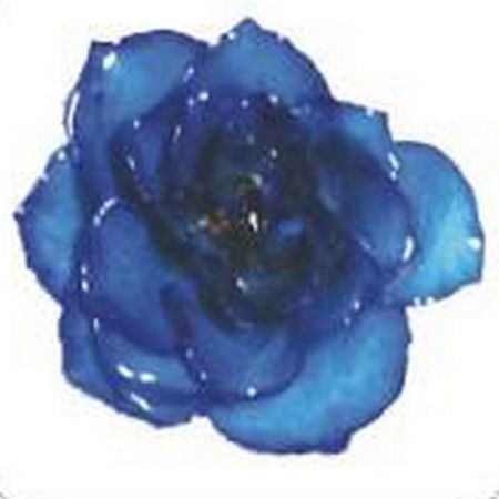 【ドライ】本物薔薇のアクセサリーパーツ ミニバラ・M 1輪 ブルー/HR03-HBL-M【07】【取寄】 ドライフラワー ドライフラワー花材 バラ（ローズ）