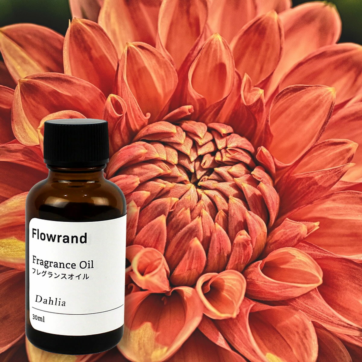 Flowrand/ハーバリウムディフューザー用フレグランスオイル（原液） ダリア 30ml【01】【取寄】 リードディフューザー ハーバリウムディフューザー 1