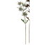 【造花】アスカ/エリンジウム ダステイラベンダー/A-43561-006A【01】【取寄】 造花(アーティフィシャルフラワー) 造花 花材「あ行」 エリンジューム 手作り 材料