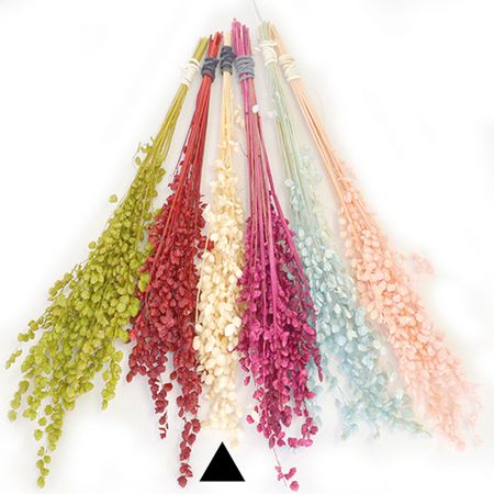 【ドライ】フロールエバー/ブリーザ SP ナチュラル/FLDR6012-910【01】[6袋] ドライフラワー ドライフ..