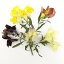 【ドライ】そらプリ/野の花ドライ キンギョソウ 約5本/spdc0005【01】【取寄】ドライフラワー ドライフラワー花材 その他ドライフラワー 手作り 材料