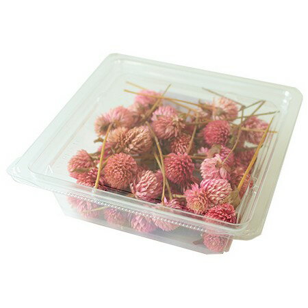 Vermont /千日紅 小箱 40本 ピンク/02250 プリザーブドフラワー プリザーブドフラワー花材 千日紅(センニチコウ)