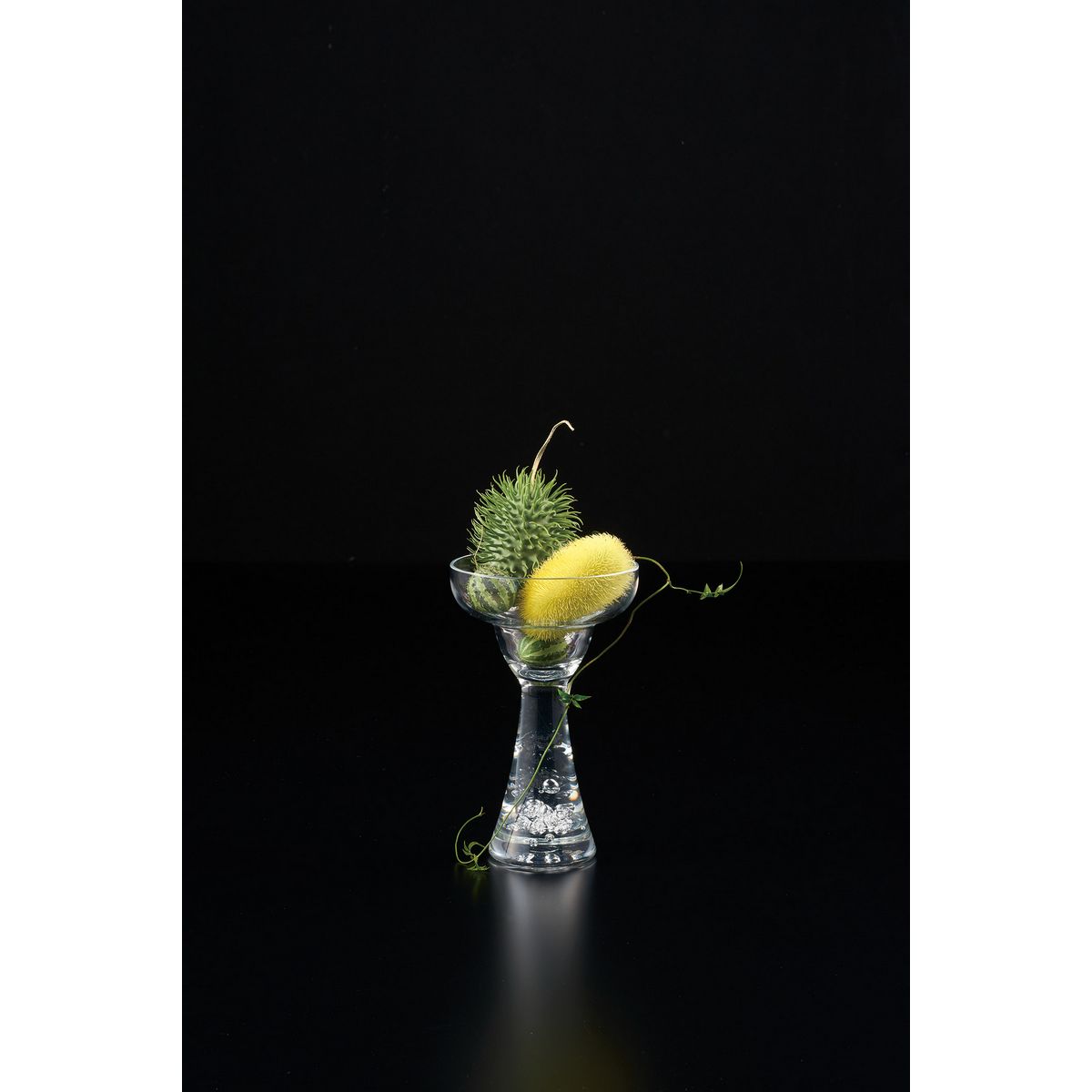 LEOタカオカ/PCマティ−ニ/F-2426【01】 花器、リース 花器・花瓶 ポリカーボネート