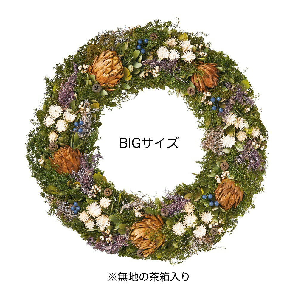 材料 手作り 花器 リース アッシュフォレスト 4744 クリスマス リース完成品 手作り 01 花器 リース リース完成品 取寄 天然素材 材料 花材通販はなどんやアソシエ リース完成品 Greenhouse ビッグリース 天然素材 手作り