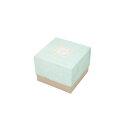 箱話ハコバナ/デザインボックスカク120シャビー グリーン【07】 花器、リース 花器・花瓶 フラワーボックス