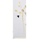 【造花】アスカ/ワイルドスプレー×5 クリームホワイト/A-34225-11【01】 造花(アーティフィシャルフラワー) 造花 「わ行」 ワイルドフラワー