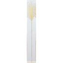 【造花】アスカ/パンパス クリームホワイト/A-43836-11【01】 造花(アーティフィシャルフラワー) 造花葉物 パンパスグラス
