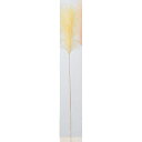 【造花】アスカ/パンパス クリームホワイト/A-43837-11【01】 造花(アーティフィシャルフラワー) 造花葉物 パンパスグラス