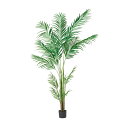 【直送】【人工観葉植物】アスカ/アレカパーム(ポット付) グリーン/A-51026-51A ※返品・代引・キャンセル不可【01】 造花(アーティフィシャルフラワ...