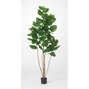 【直送】【人工観葉植物】アスカ/ウンベラータ(ポット付) グリーン/A-51028-51A ※返品・代引・キャンセル不可【01】 造花(アーティフィシャルフラワ...