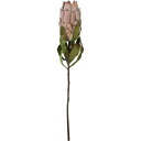 【造花】YDM/ドライプロテア ブラウン/FA-7375-BR【01】 造花(アーティフィシャルフラワー) 造花 「わ行」 ワイルドフラワー