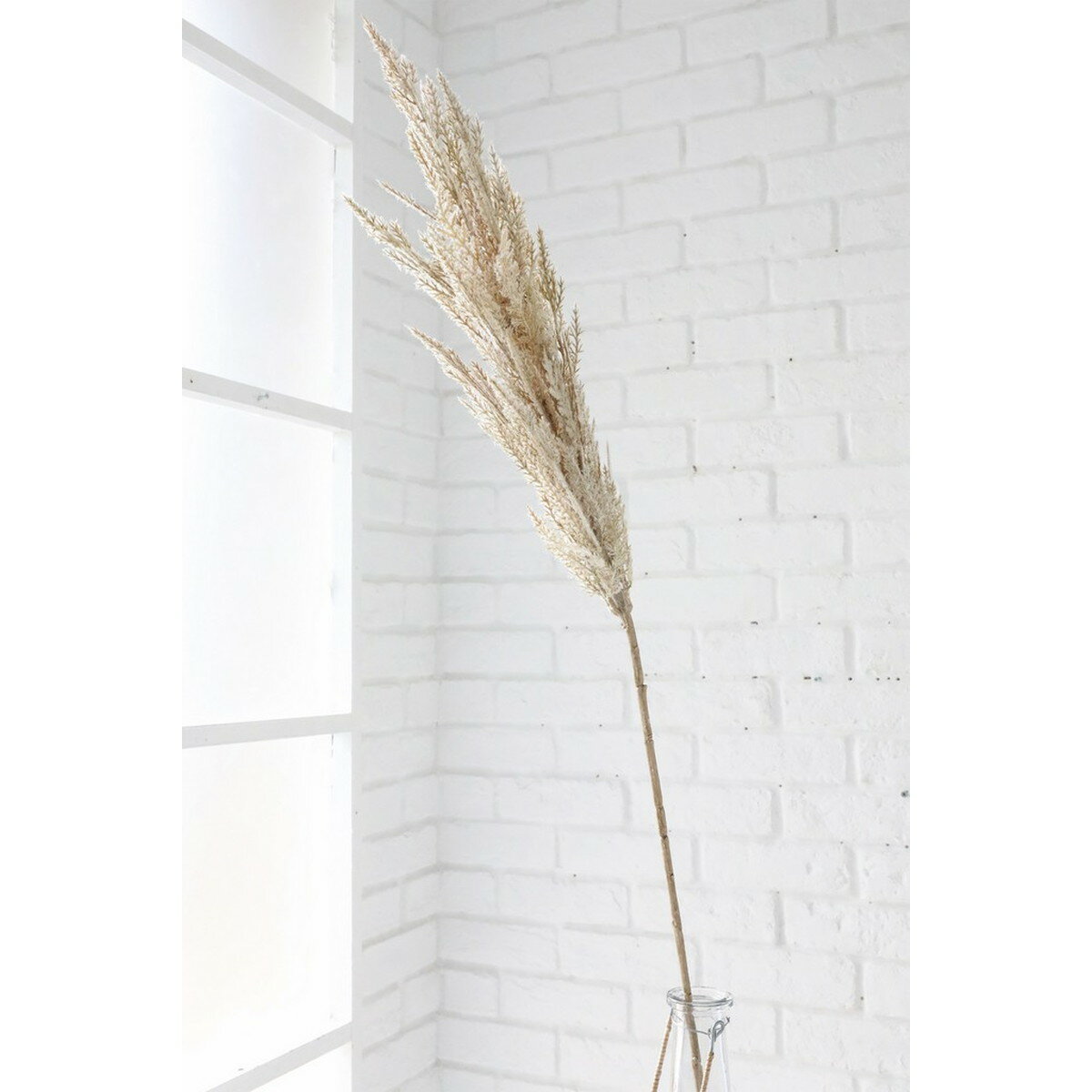 【造花】コベントガーデン/パンパスグラス/OP-23【07】 造花（アーティフィシャルフラワー） 造花葉物 ..