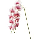 【造花】YDM/コチョウラン/FA-7203-W【01】 造花(アーティフィシャルフラワー) 造花 花材「か行」 コチョウラン(胡蝶蘭)