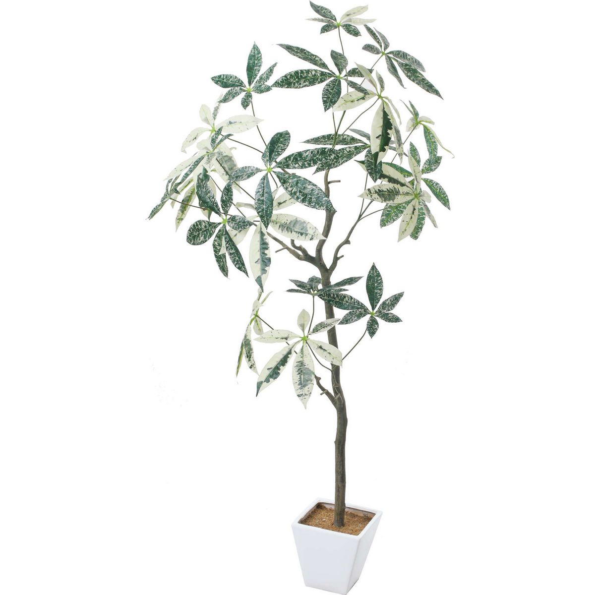 【直送】【人工観葉植物】YDM/パキラミルキーウェイツリー ホワイトグリーン/GLA-1547-W/G ※返品・代引..