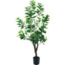 【人工観葉植物】YDM/アポロゴム グリーン/GLP-1537-GR【07】 造花(アーティフィシャルフラワー) 造花葉物 造花・人工観葉植物 高さ〜150cm