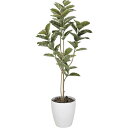 【直送】【人工観葉植物】YDM/アルテシマ1.6m/GLPA-042 ※返品・代引・キャンセル不可【30】 造花(アーティフィシャルフラワー) 造花葉物 造花・...