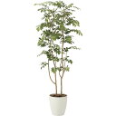 【直送】【人工観葉植物】YDM/マウンテンアッシュ1.6m/GLPA-043 ※返品・代引・キャンセル不可【30】 造花(アーティフィシャルフラワー) 造花葉物...