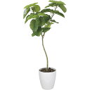 【直送】【人工観葉植物】YDM/ウンベラータ1.8m/GLPA-057 ※返品・代引・キャンセル不可【30】 造花(アーティフィシャルフラワー) 造花葉物 造花...