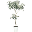 【直送】【人工観葉植物】YDM/フイリパキラ1.5m/GLPT-201 ※返品・代引・キャンセル不可【30】 造花(アーティフィシャルフラワー) 造花葉物 造花...