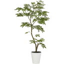 【直送】【人工観葉植物】YDM/エバーフレッシュ1.2m/GLPT-205 ※返品・代引・キャンセル不可【30】 造花(アーティフィシャルフラワー) 造花葉物 ...