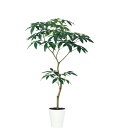 【直送】【人工観葉植物】YDM/パキラ1.5m/GLPT-209 ※返品・代引・キャンセル不可【30】 造花(アーティフィシャルフラワー) 造花葉物 造花・人工...