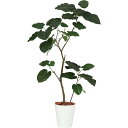 【直送】【人工観葉植物】YDM/ウンベラータ1.2m/GLPT-212 ※返品・代引・キャンセル不可【30】 造花(アーティフィシャルフラワー) 造花葉物 造花...