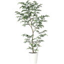 【直送】【人工観葉植物】YDM/トネリコ1.8m/GLPT-217 ※返品・代引・キャンセル不可【30】 造花(アーティフィシャルフラワー) 造花葉物 造花・人...