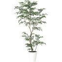 【直送】【人工観葉植物】YDM/トネリコ1.5m/GLPT-218 ※返品・代引・キャンセル不可【30】 造花(アーティフィシャルフラワー) 造花葉物 造花・人...