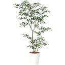 【直送】【人工観葉植物】YDM/トネリコ1.2m/GLPT-219 ※返品・代引・キャンセル不可【30】 造花(アーティフィシャルフラワー) 造花葉物 造花・人...