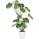 【直送】【人工観葉植物】YDM/モンステラバリエガータ1.6m/GLPT-224 ※返品・代引・キャンセル不可【30】 造花(アーティフィシャルフラワー) 造花...