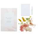 【ドライ】アスカ/photo card kit フルーツ/SU00162-000【01】 ドライフラワー ドライフラワーギフト