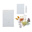 【ドライ】アスカ/message card kit マカロン/SU00164-000【01】 ドライフラワー ドライフラワーギフト