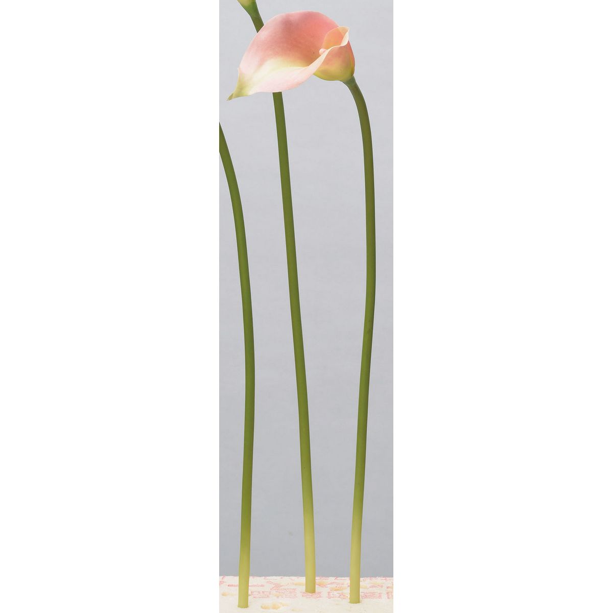 アスカ/カラーリリィ #004G ピーチグリーン/A-34317-4G 造花（アーティフィシャルフラワー） 造花 花材「か行」 カラー