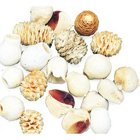 【ドライ】コアトレーディング/LDアソートコーン・大袋 サラシ/10724【10】 ドライフラワー ドライ実物＆フルーツ 木の実