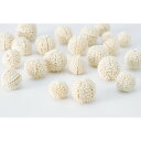 【ドライ】大地農園/ムタンバナッツ 約35g 白/22850-011【01】 ドライフラワー ドライ実物&フルーツ 木の実