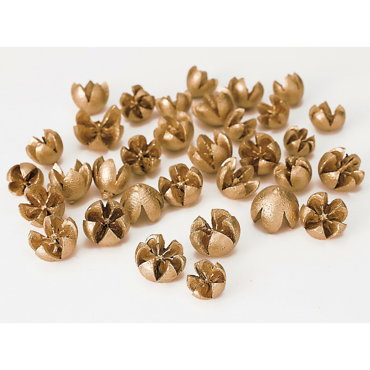 【ドライ】大地農園/ミニバクリ 約50g ゴールド/24780-900【01】 ドライフラワー ドライ実物＆フルーツ..