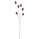 【造花】YDM/ウサギノオスプレー ダークブラウン/FG-5217-DBR【01】 造花(アーティフィシャルフラワー) 造花葉物、フェイクグリーン その他の造花葉物・フェイクグリーン