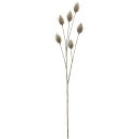 【造花】YDM/ウサギノオスプレー グレー/FG-5217-GRY【01】 造花(アーティフィシャルフラワー) 造花葉物、フェイクグリーン その他の造花葉物・フェイクグリーン