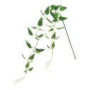 【造花】MAGIQ東京堂/ReCO リキュウソウ GREEN グリーン/FG305162【01】 造花(アーティフィシャルフラワー) 造花葉物 リキュウソウ